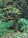 IMG-20240505-WA0017 - Kopiert